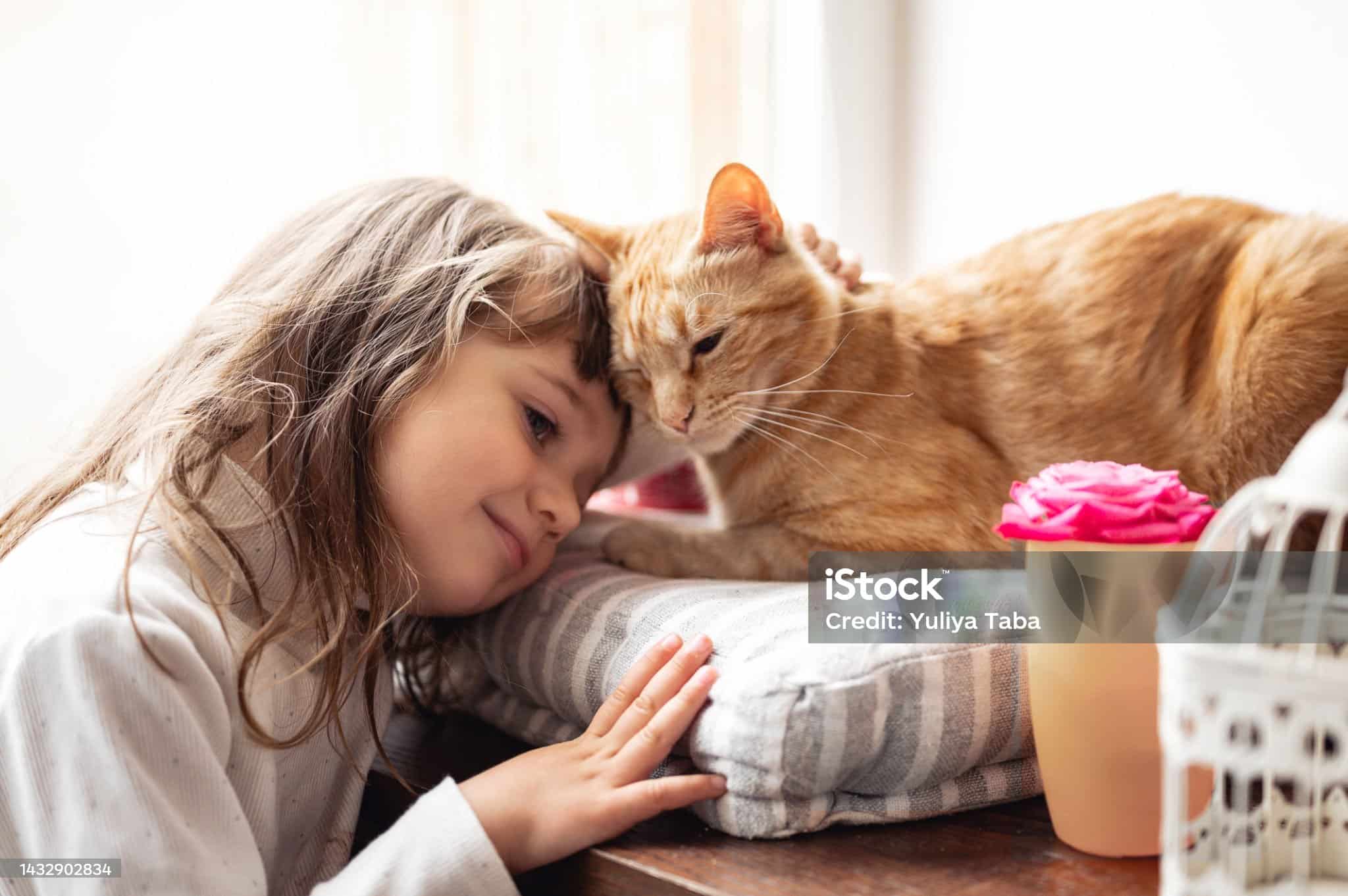 New time saving kitchen gadgets every girl will love