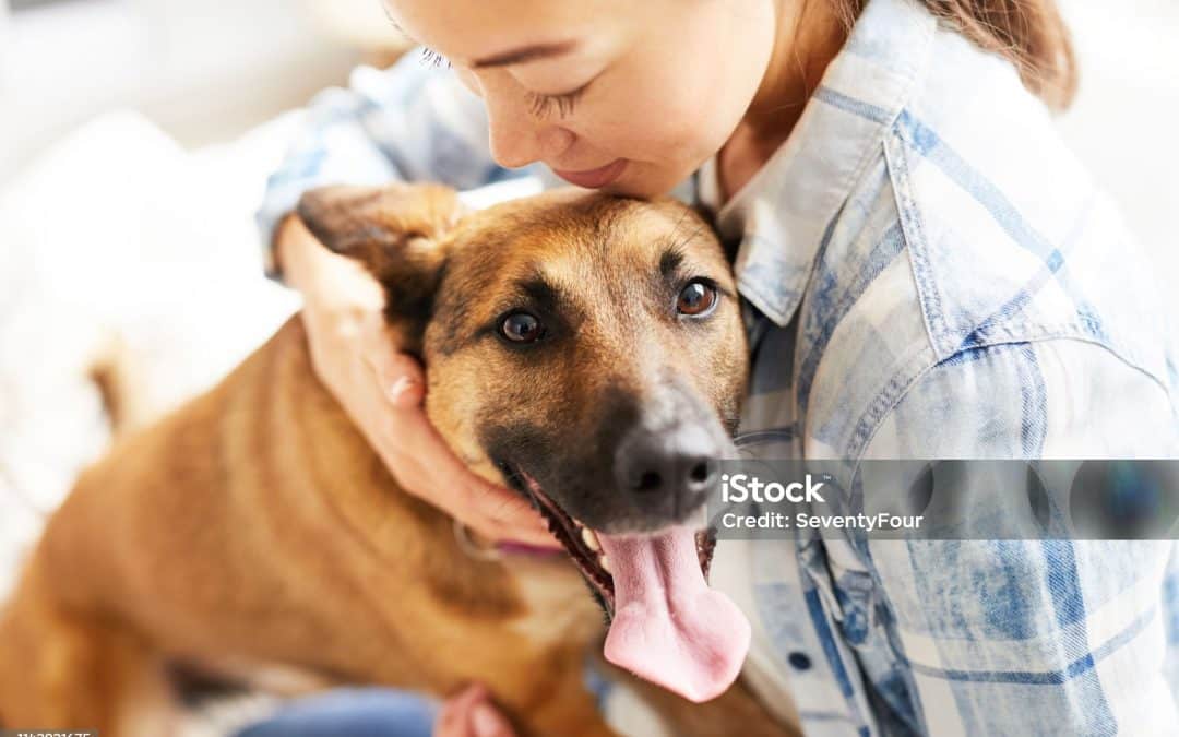 Fabulous feminine drapes for your teenagers room