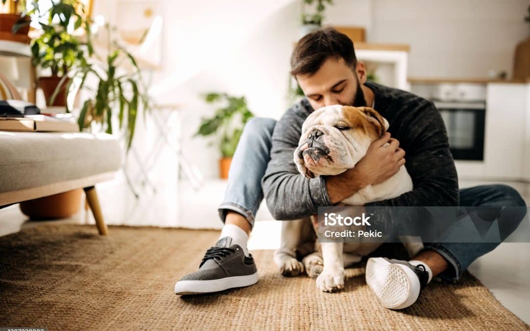 Styling your kitchen with complete freedom