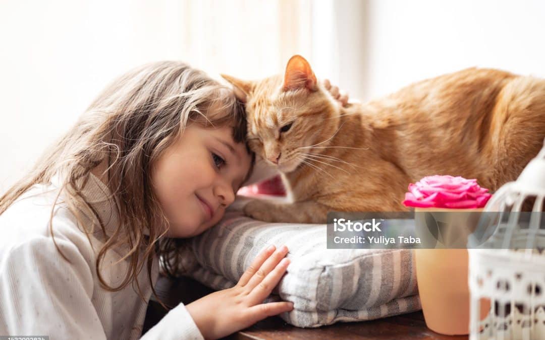 New time saving kitchen gadgets every girl will love