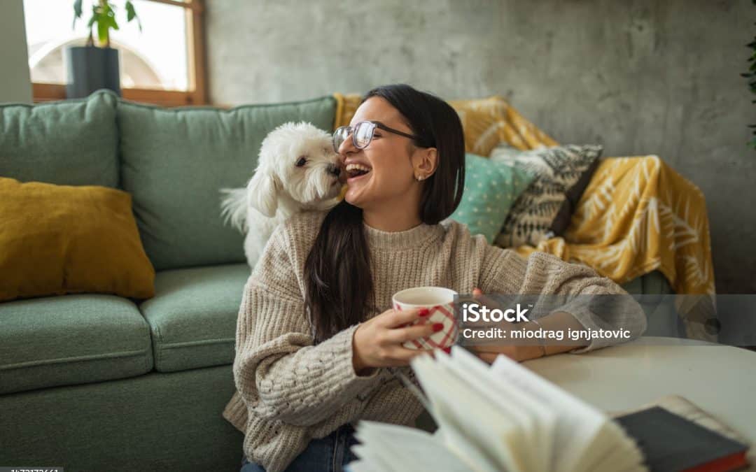 How to have a fabulous life & own a business