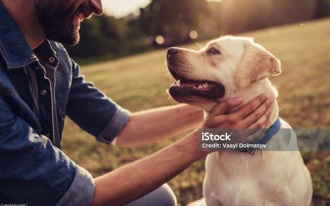 The Home Affairs new website design reveal 2023