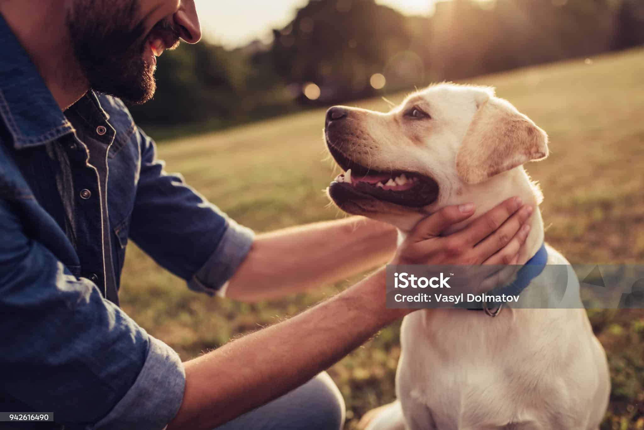 The Home Affairs new website design reveal 2023